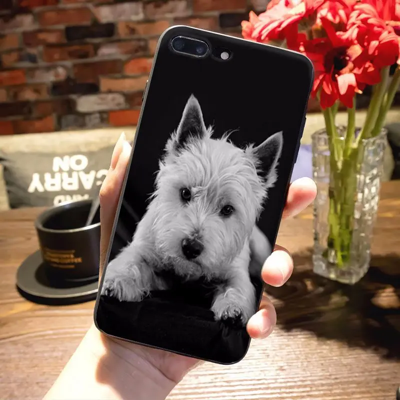 Мягкий ТПУ чехол для телефона MaiYaCa West Highland White Terrier dog с рисунком iPhone 8 7 6 6S Plus X 5S 12pro SE