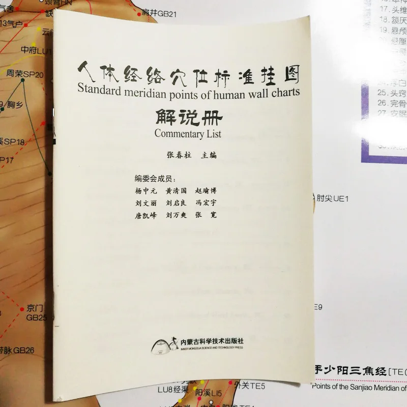 HD двуязычные мужские стандартные пункты меридиана человеческих настенных