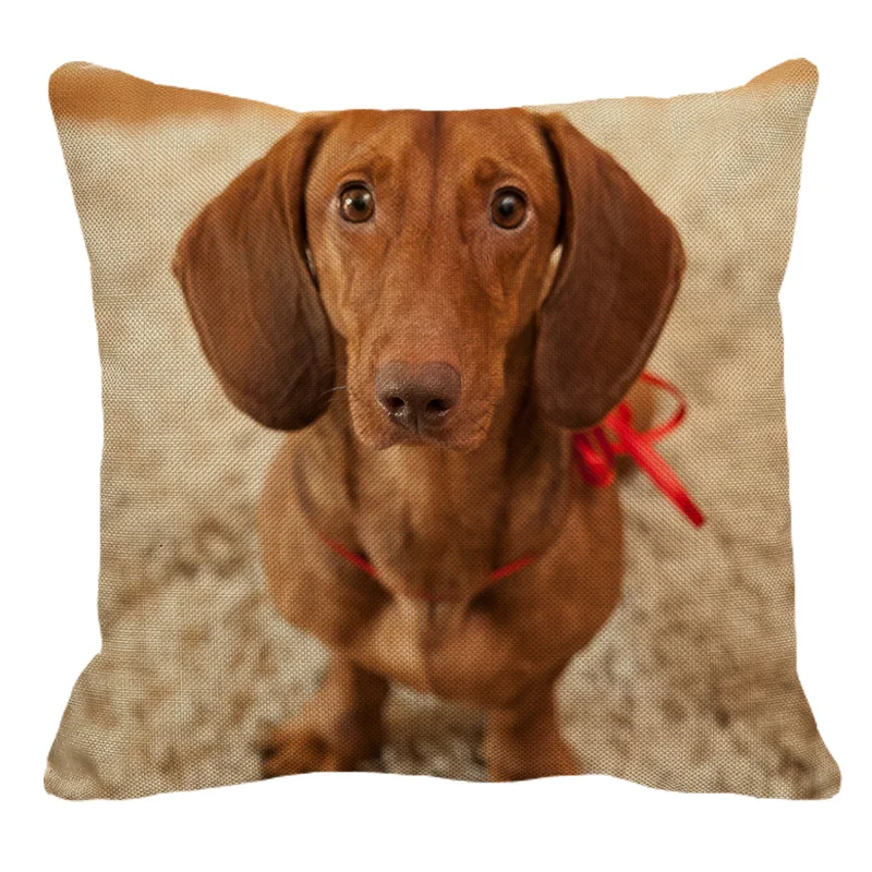 XUNYU Dachshund принт льняной пилллоукейс домашний диван квадратная наволочка с изображением животного собаки наволочка AC103