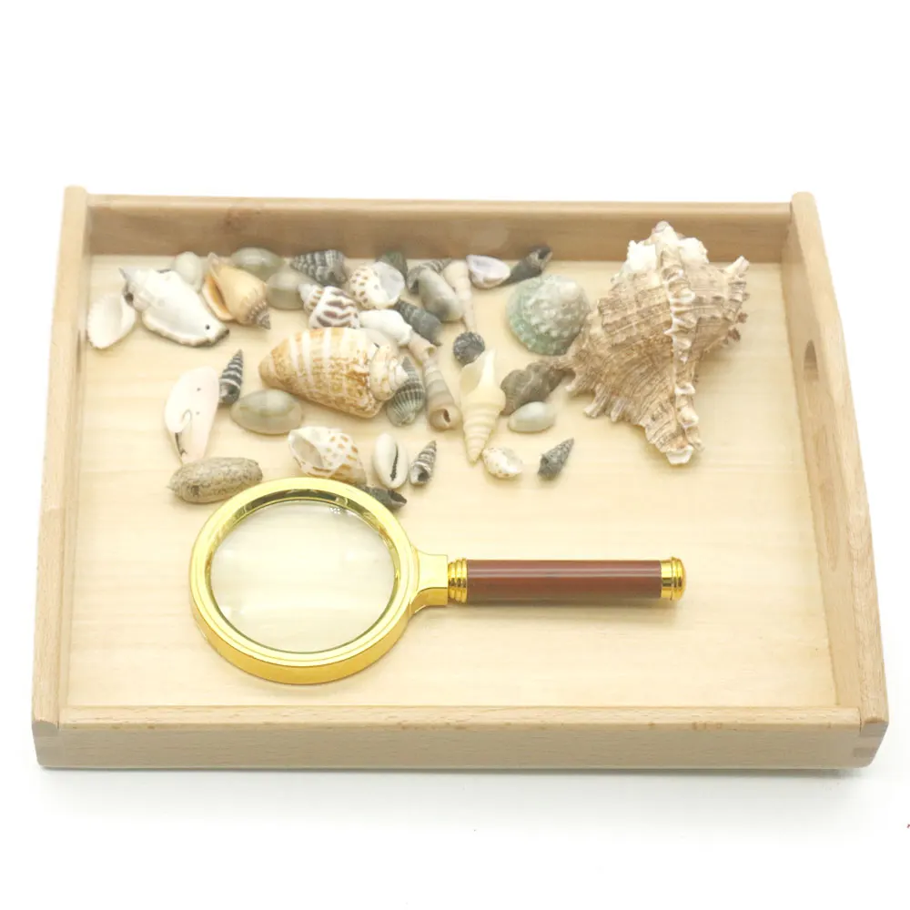 Montessori Sensorial Material Seashell Activities Развивающие деревянные игрушки для детей 3 лет Juguetes