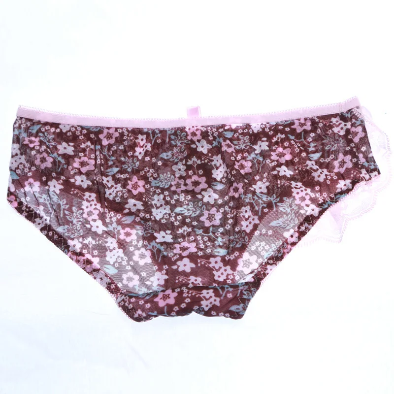 Ladies sexy underwear temptation real stars transparent gauze low-waist briefs |
