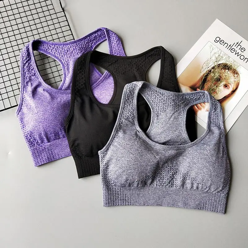 

Vital seamless sports bra workout gym crop top high impact padded yoga bra active wear women yoga top seamless gym vest