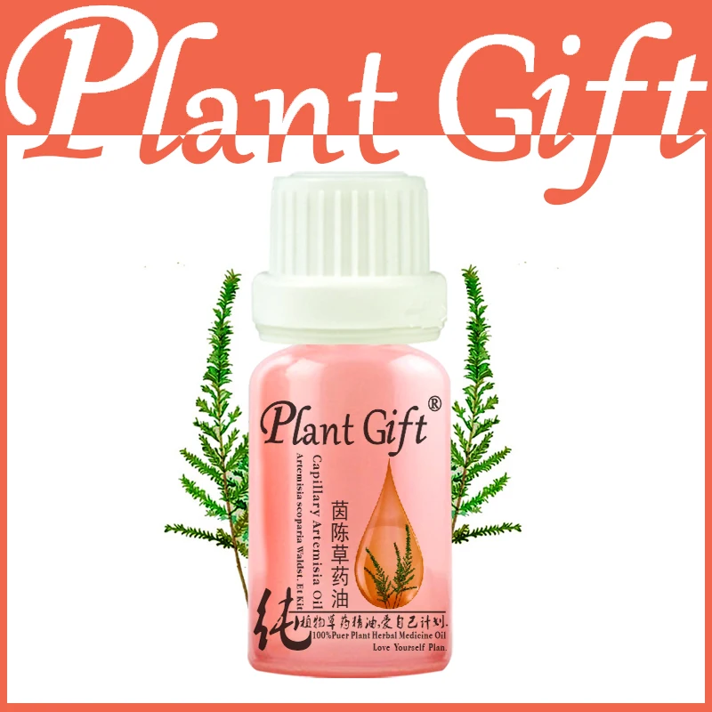 100% чистые искусственные лекарственные масла Herba Artemisiae скопарие травяное масло 10