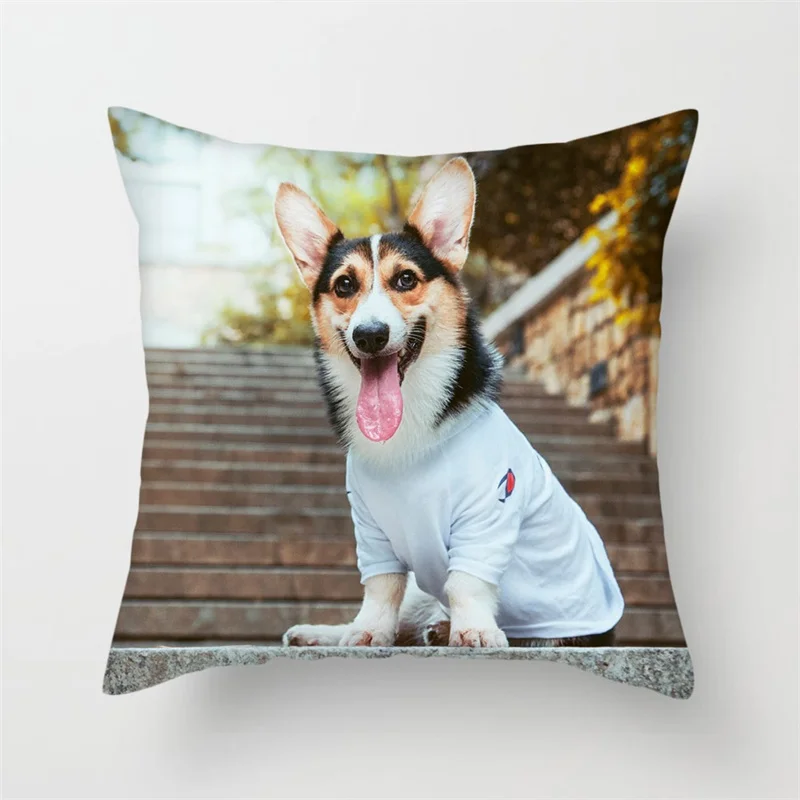 Fuwatacchi милая собака телефон Орел кошка пара подушек чехол для дивана домашнее