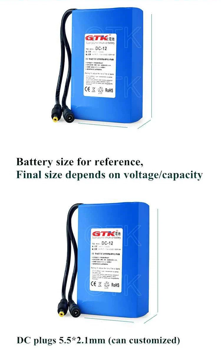 Новая защита большая емкость 12V 10Ah 5Ah 6ah 12,8 v lifepo4 аккумулятор 12v 10000 mAh емкость+ 14,6 v зарядное устройство