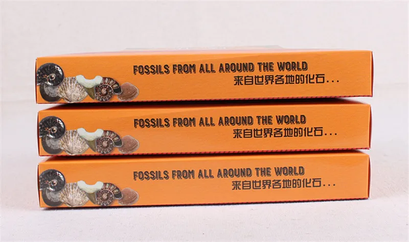 

15pcs/set Ore Fossil Set Ornament Natural Ston Marine flora and fauna Healing Natural animal plant specimen Nice Gift