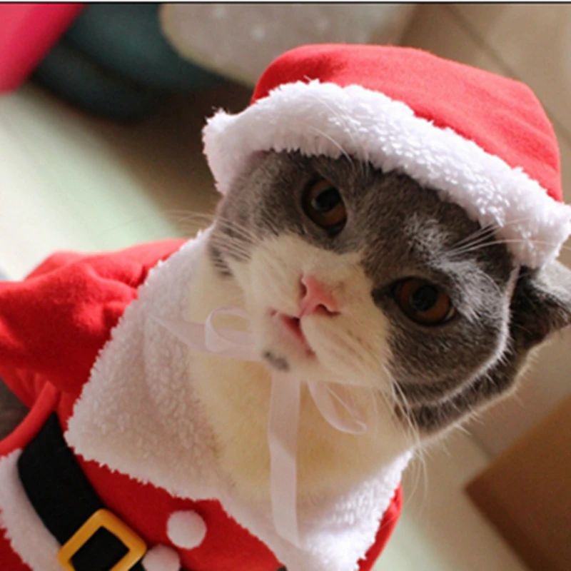 [MPK cat costumes] костюм кошки Санта Клауса! Милый Санта! Красный Санта-Клауса одежда для домашних животных, котов, пальто одежда в рождественском стиле костюм