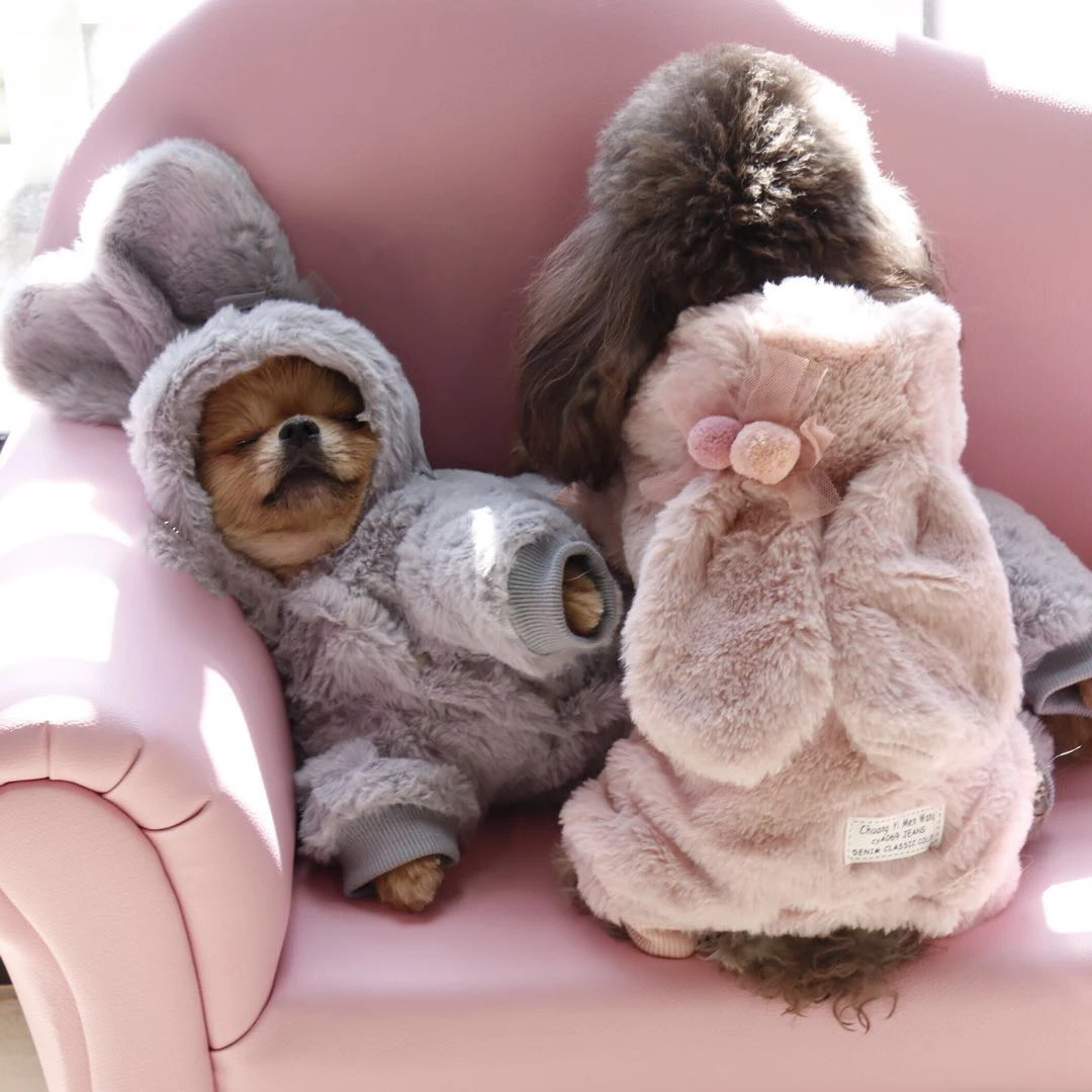 

ins Cat and Rabbit Plush Sanitary Clothes Pink Gray Lovely Sportswear cute cloth kitten suit
