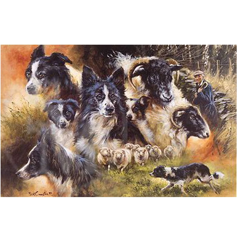 Алмазная картина Border collie алмазная вышивка собака полная стразы мозаика