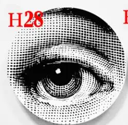 Lina, настенные декоративные керамические тарелки, домашний декор, блюдо, фарфоровые настенные художественные тарелки, черно-белые, в скандинавском стиле - Цвет: H28