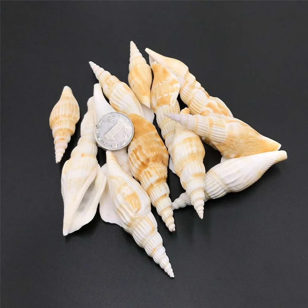 5 Pieces 73*25 mm Natural Point Small Shell Loose Beach Conch Ornaments Crafts DIY Woman Jewelry Necklace Pendant | Украшения и