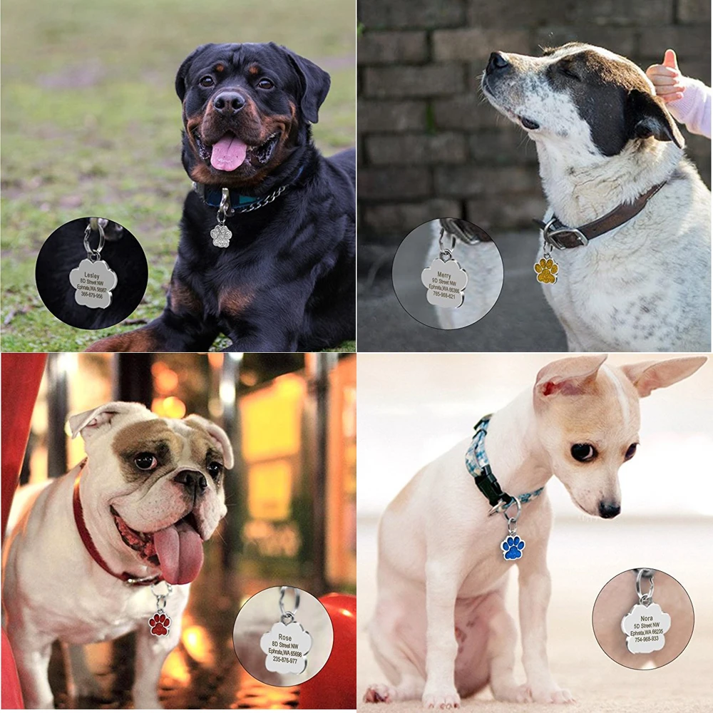 50pcs wholesale pet dog cat puppy id blank tags rhinestone alloy name address phone tags dog collar accessories pet supplies free global shipping