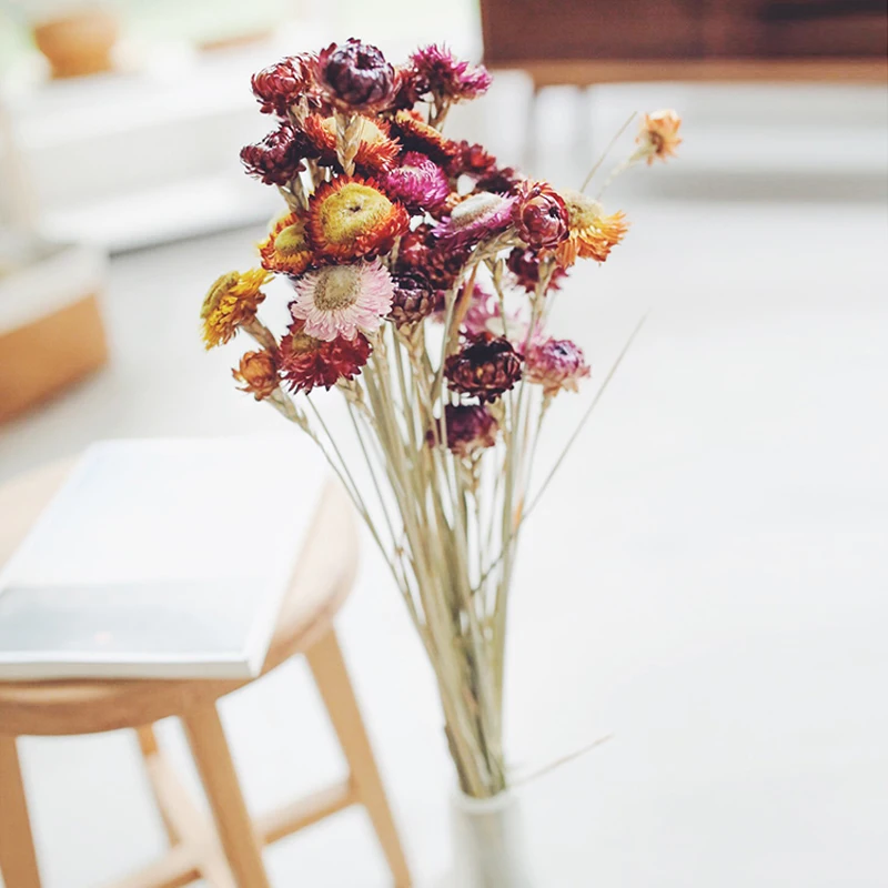 New 50pcs/lot chrysanthemum wedding decoration Dried flowers party supplies flower home decor Z3731 | Дом и сад