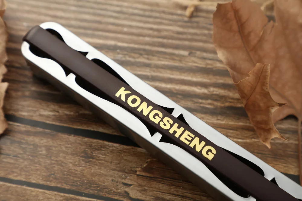 KONGSHENG Профессиональный 2420 высокого качества тремоло губная гармоника