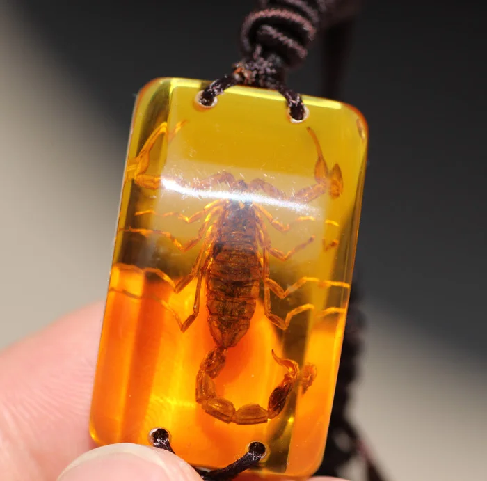 Браслет с насекомыми настоящий образец насекомых Скорпион король безопасный