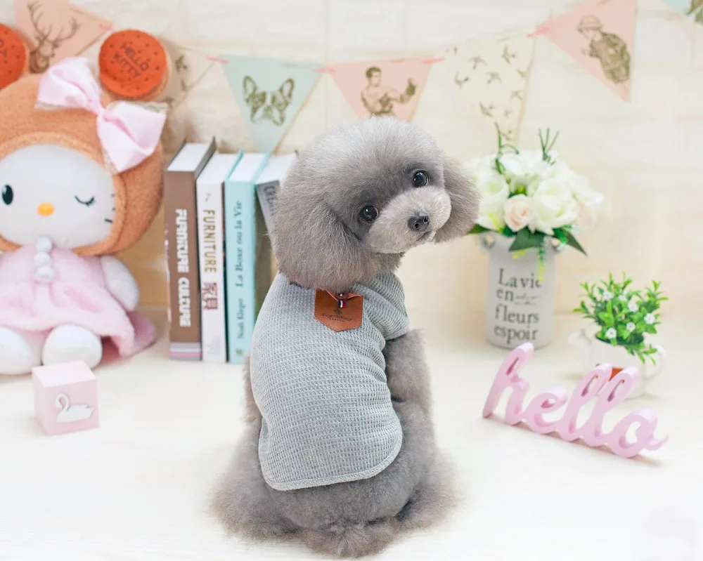 Новинка весна-лето корейский стиль жилет для домашних животных K29 куртка модная