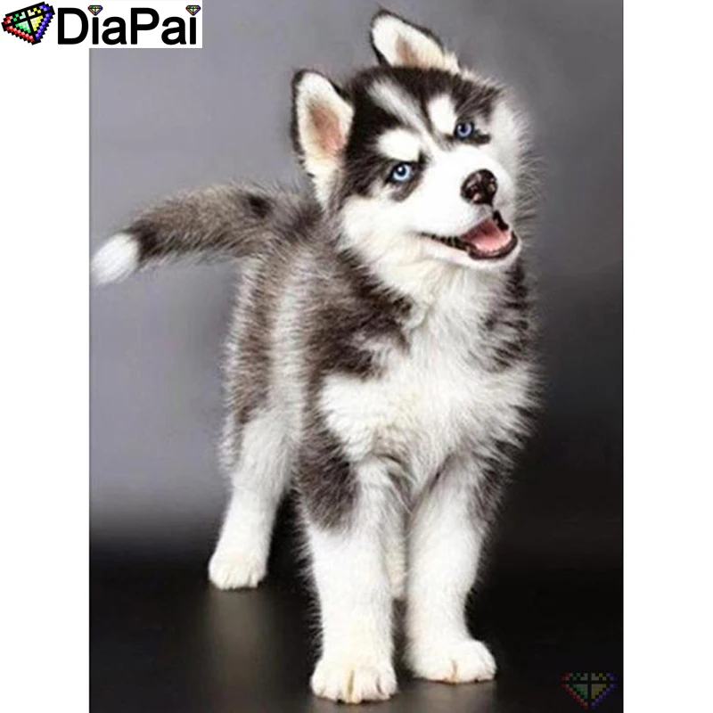 

DIAPAI 5D DIY Diamond Painting 100% Full Square/Round Drill "Animal dog" Diamond Embroidery Cross Stitch 3D Decor A21633