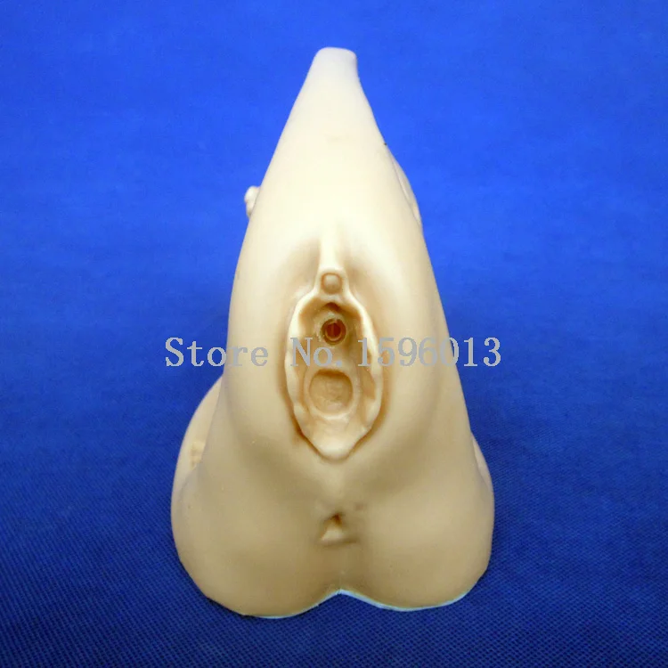 Женская уретрная кожа улучшенная модель внутренних и внешних генитальных