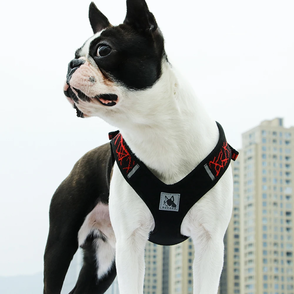 Ошейник для собак маленьких средних и больших Питбуль бульдог спортивный