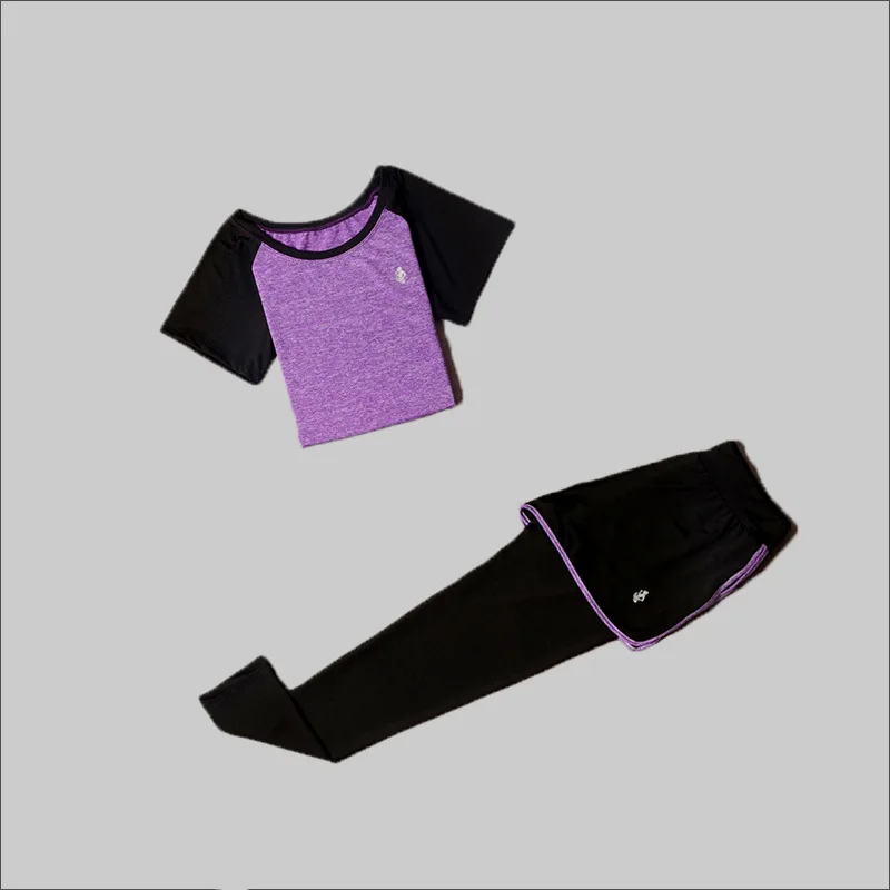 2 piece set-Purple Бесшовный спортивный бюстгальтер, комплект для женщин, спортивный костюм, спортивная женская одежда для фитнеса, пуш-ап, высокий бюстгальтер+ спортивная женская одежда для бега - Цвет: 2 piece set-Purple