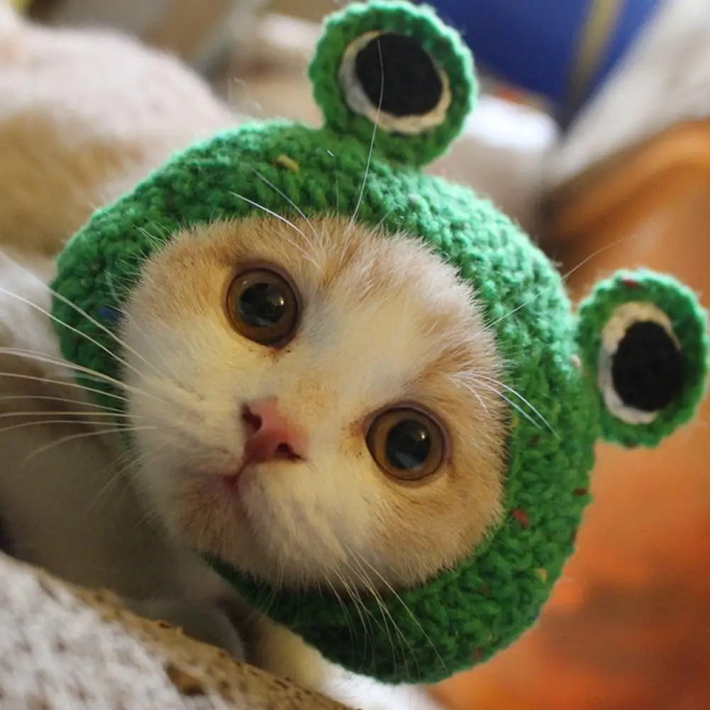 DIY Pet Cat Dog Creative Frog Design Hat Warm Knitted Gift for Pets | Accessories