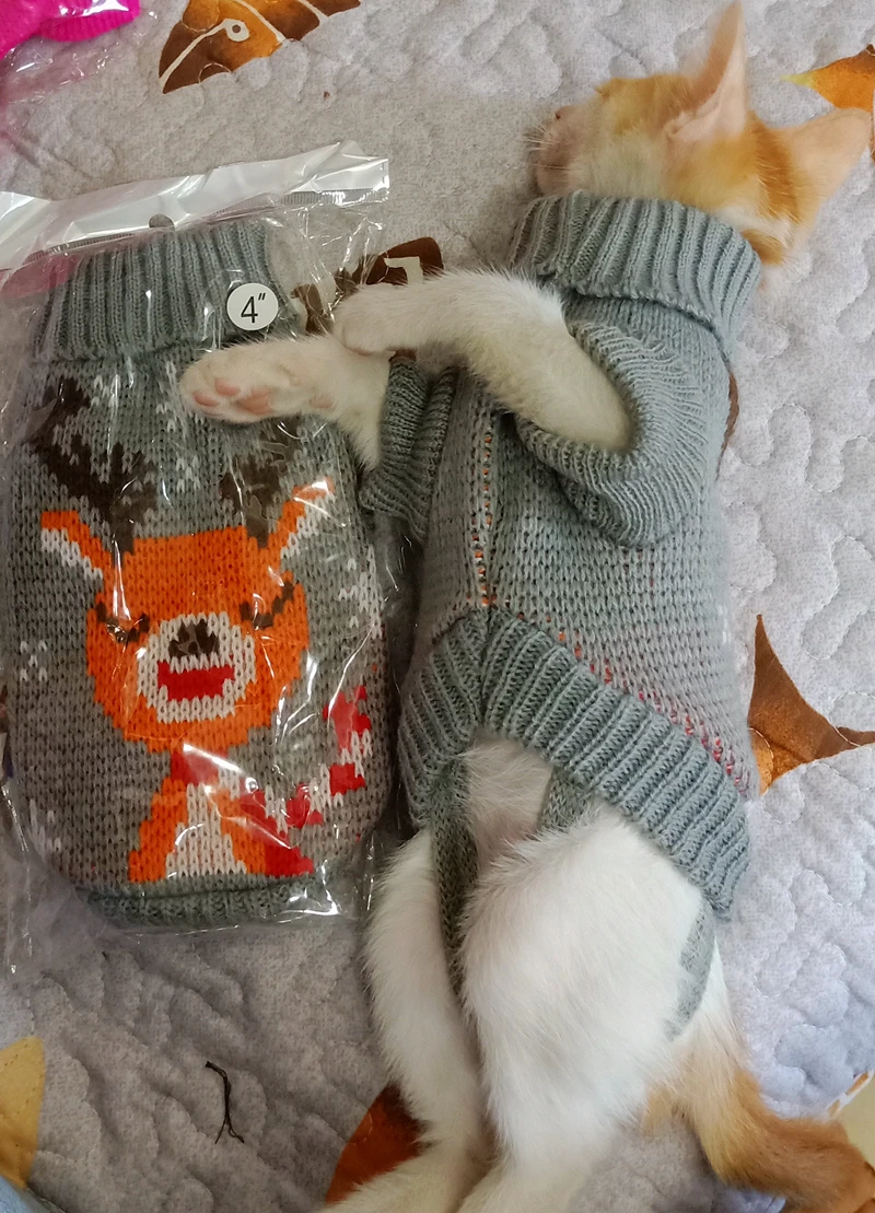 [MPK] SWA Cat свитер, свитер для кошек и маленьких собак, одежда для кошек, 12 цветов на выбор+ 6 размеров для каждого цвета