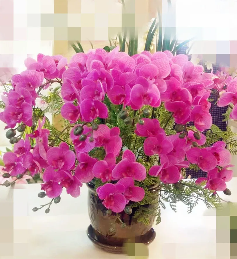 Настоящий на ощупь орхидеи бабочки 12 головок искусственный цветок из