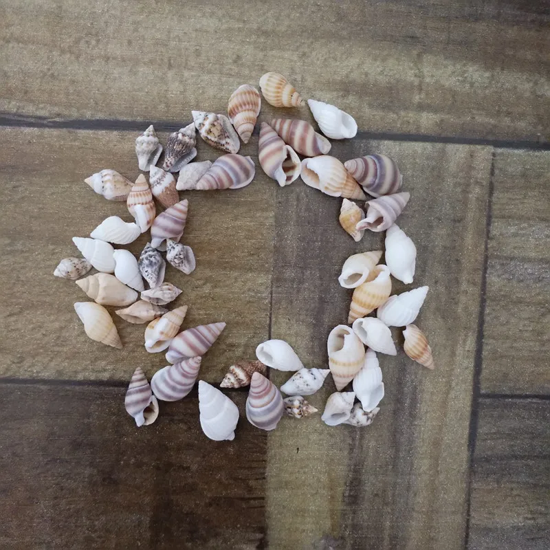 Модные 40 шт./лот маленькие раковины из натуральных морских ракушек для аквариума