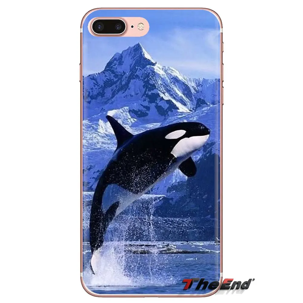 Killer Whale Orca Random Inspiration Phone Cases For Huawei G7 G8 P7 P8 P9 P10 P20 P30 Lite Mini Pro P Smart Plus 2017 2018 2019 |