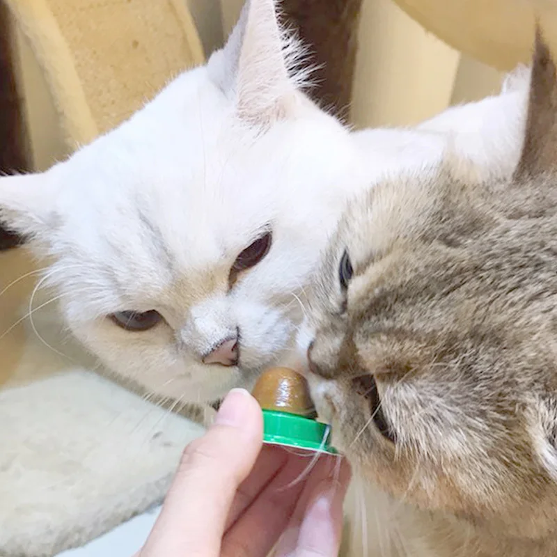 Здоровые кошачьи снэки леденцы лизание сахара твердый энергетический шарик для