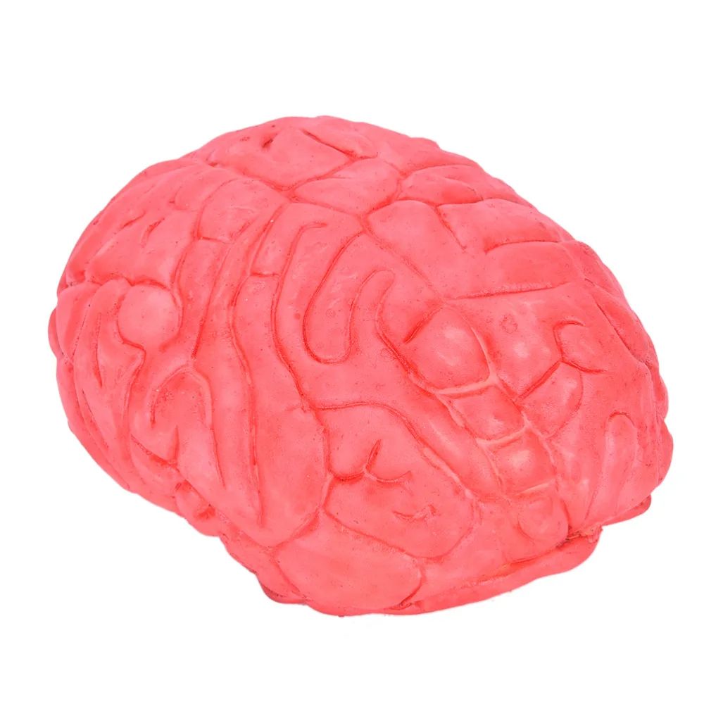 1x Новый Искусственный человеческий мозг реквизит резиновый ужаса поддельный