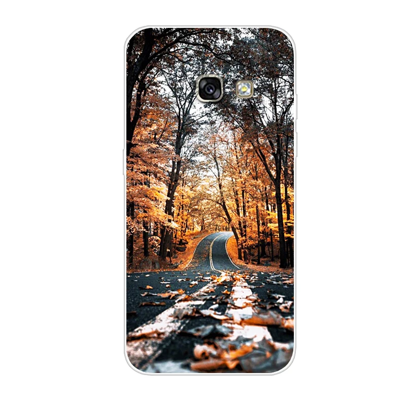 Case For Samsung Galaxy A7 2017 A720F Transparent Printing Drawing Silicone Phone Cases Cover A720FL |