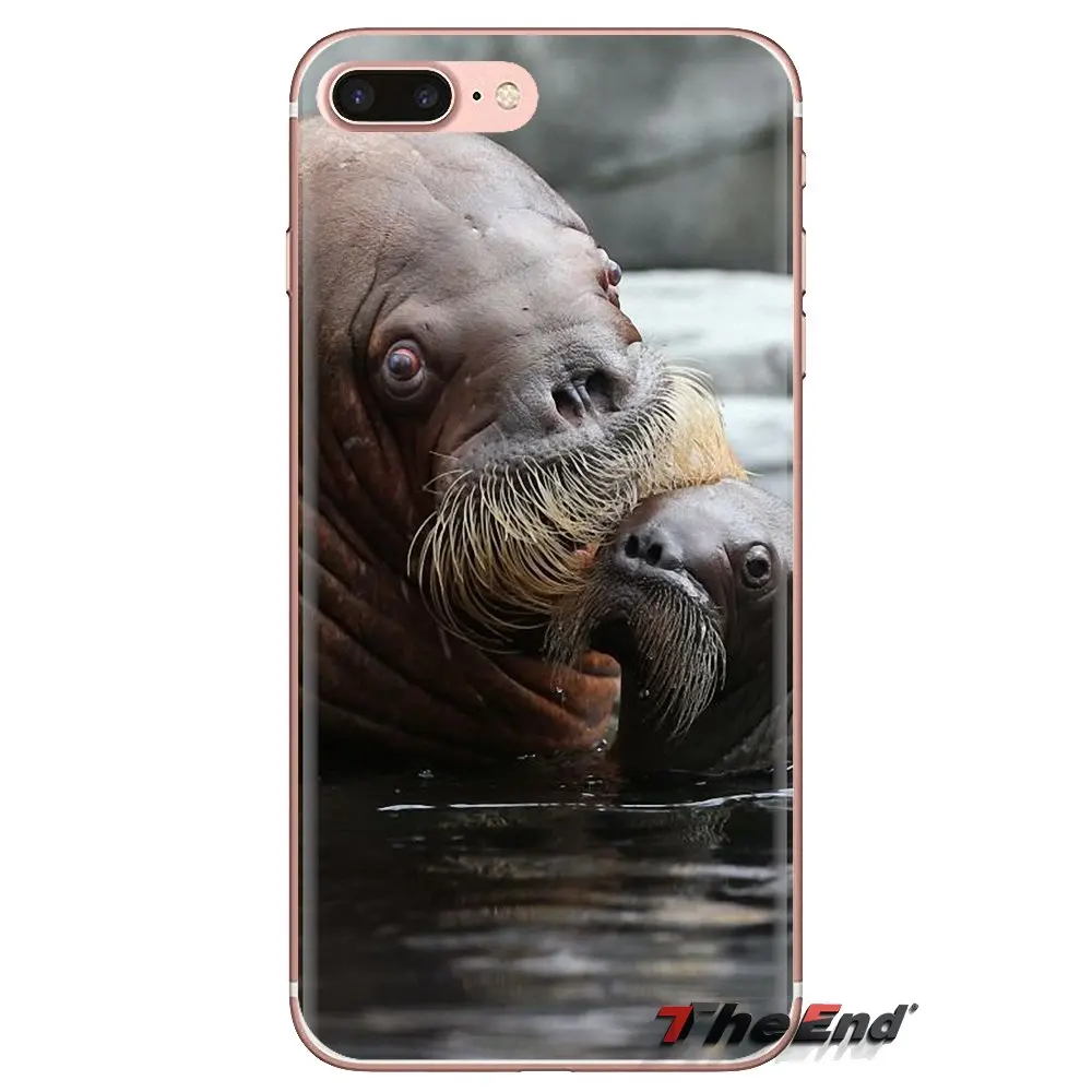 TPU Shell Case Walrus Odobenus rosmarus Russian Arctic For Samsung Galaxy J1 J2 J3 J4 J5 J6 J7 J8 Plus 2018 Prime 2015 2016 2017 |