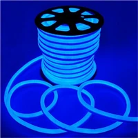 IP65 LED Neon Strip 220V 110V Flexible Neon Tube Light Decorative Lighting RGB White Red Green Blue