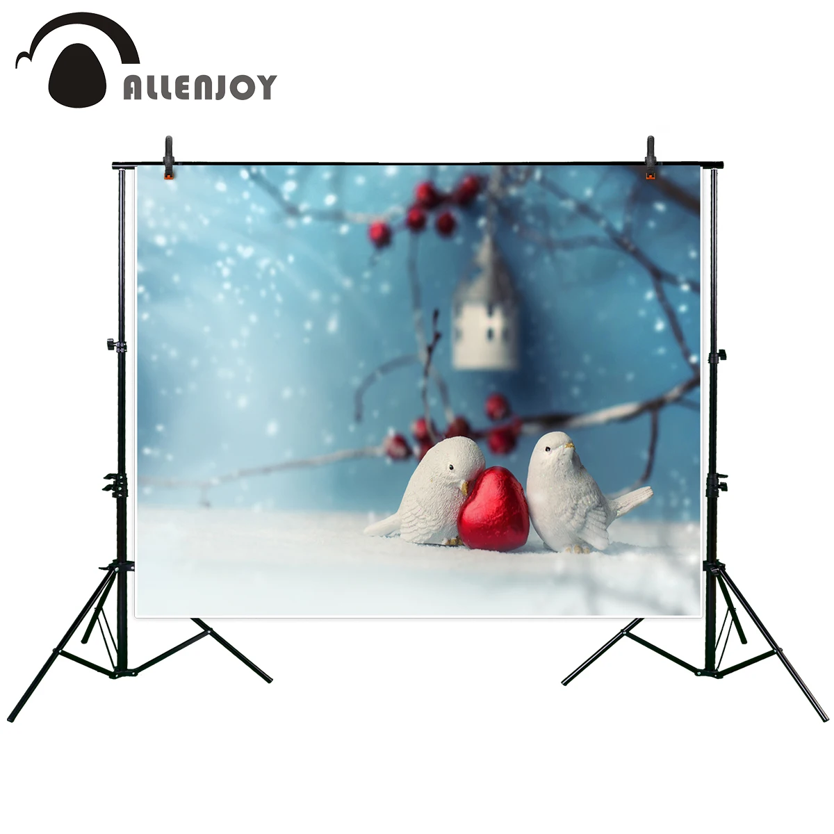 

Новый фон для фотосъемки Allenjoy с двумя симпатичными керамическими птицами влюбленными в зимнее время День Святого Валентина фотостудия фотобудка HD-файл