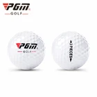 PGM мяч для гольфа 2-слойные 3-слойные профессиональные мячи для гольфа стандартное производство новый продукт поддержки нестандартные бренды Открытый Бесплатная доставка