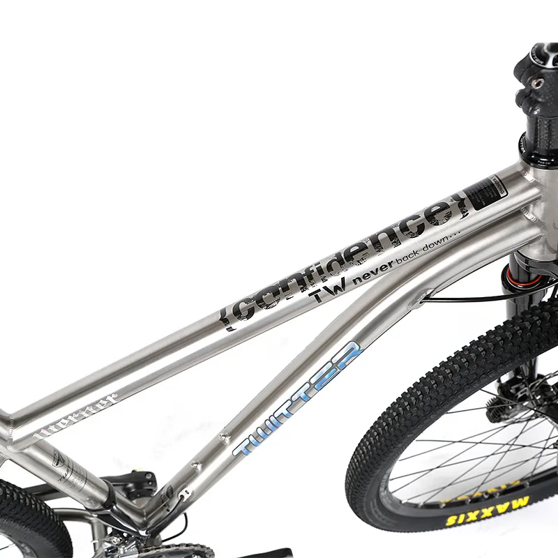 TWITTER WERNER Titanium Bicycle Mountain Bike 22s 33s MTB Titanium Frame XT M8000 sets XC DT Fork X1900spline Wheels