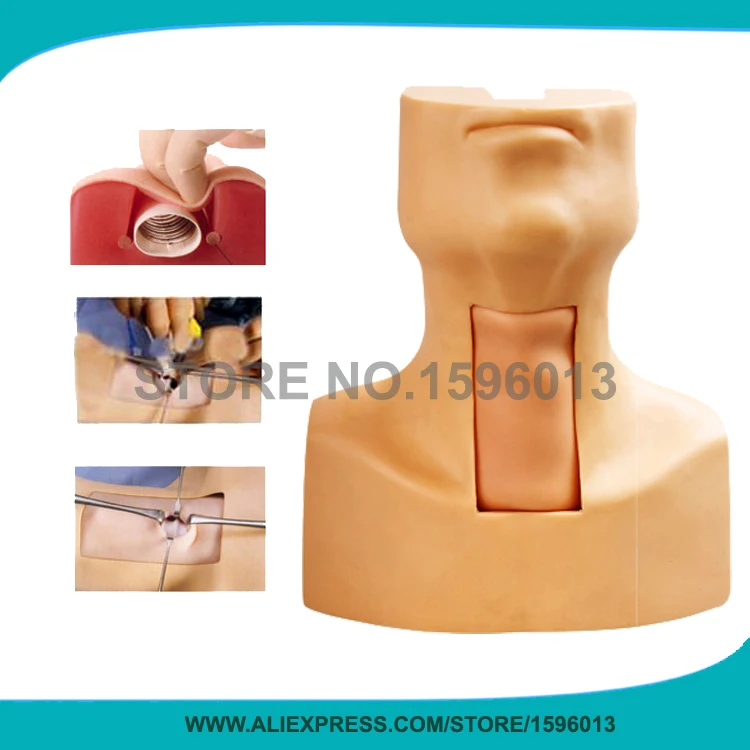 Тренажер для трахеостомии щитокрохоцентеза манекен кормления трахеотомии|model