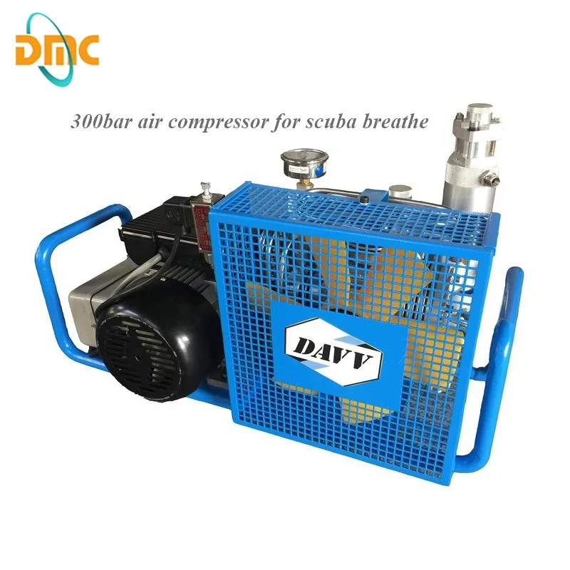 110V60HZ 300bar 4500psi Воздушный компрессор высокого давления для снорклинга