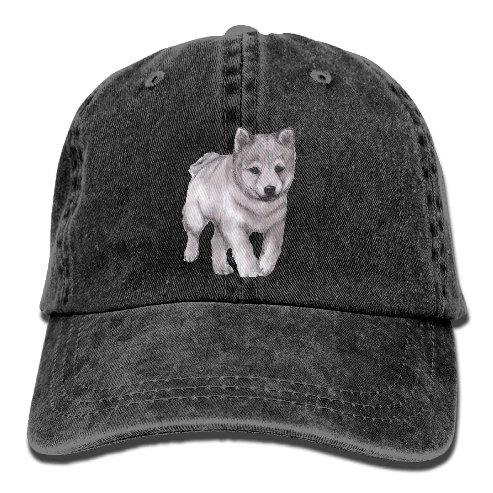 SAMCUSTOM shaba inu 3D креативные джинсовые шляпы с эффектом потертости Осенние Летние