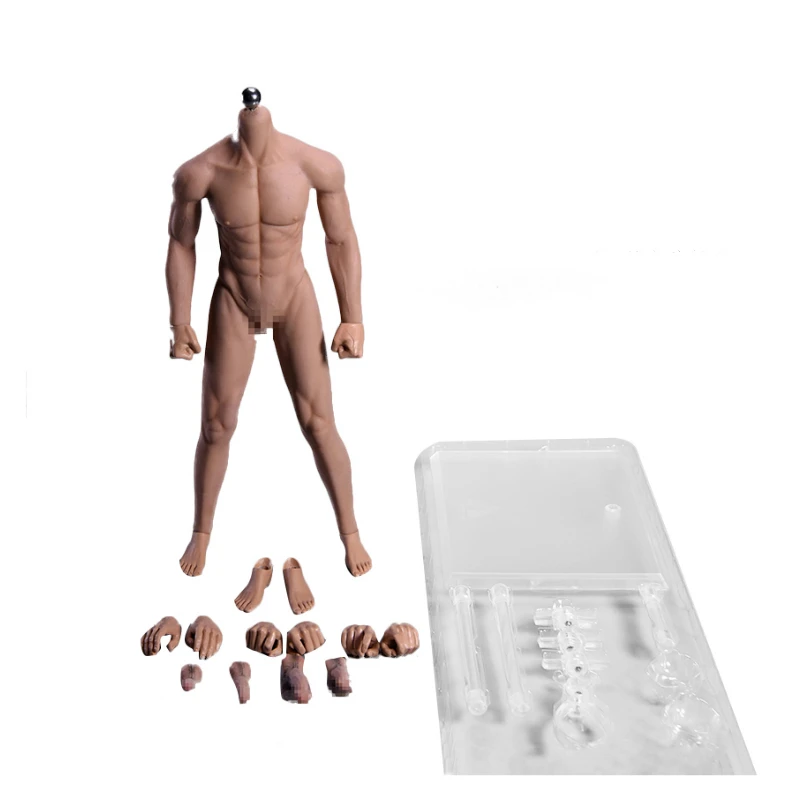Wheaten Skin 1/6 Scale 12''Ultra Flexible Muscular Male Seamless Body Stainlee Steel Skeleton Rubber Human-like Skin Bodies for 1/6 Head - Цвет: Wheaten Skin
