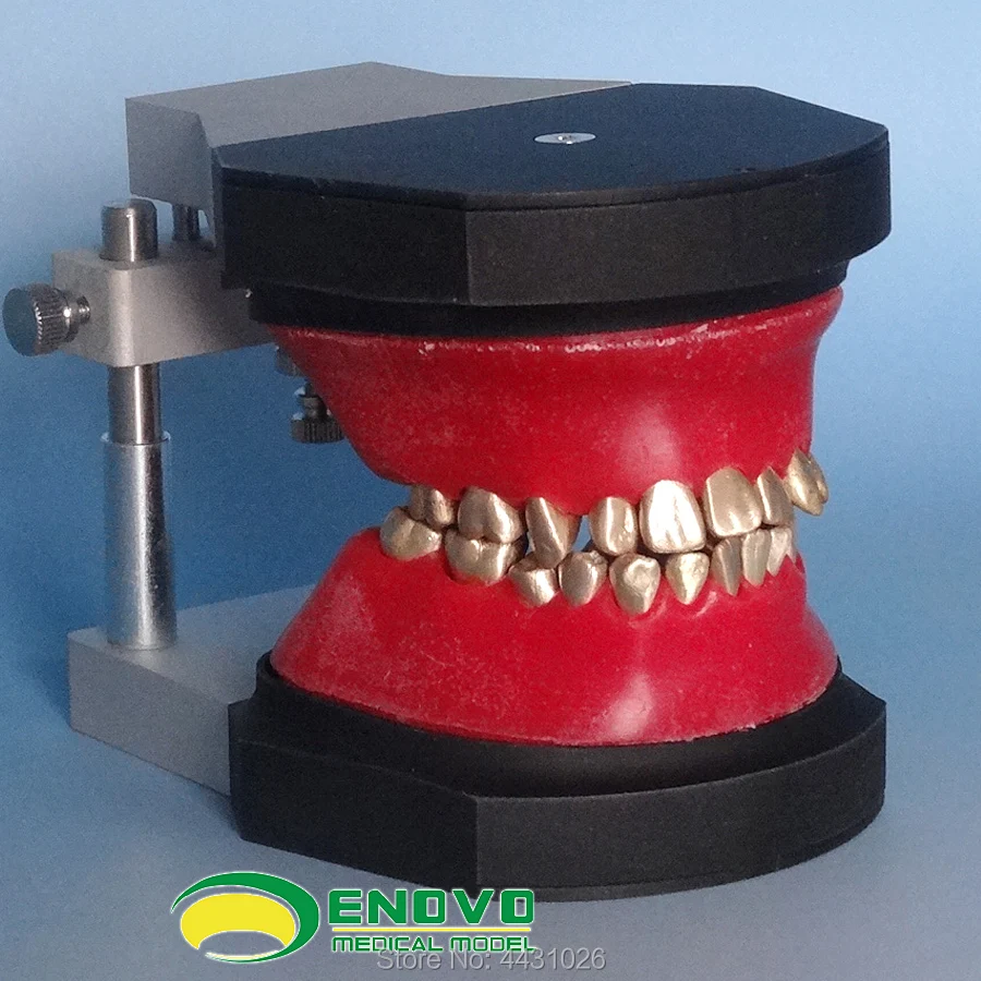

ENOVO Orthodontic training in orthodontics