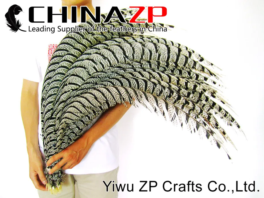 Рекомендуемая качественная натуральная Зебра CHINAZP 80 ~ 90 см|lady amherst|pheasant tail feathertail