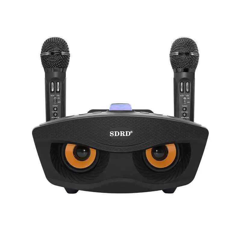 Портативная семейная система караоке SD 306 два беспроводных микрофона с 20 Вт