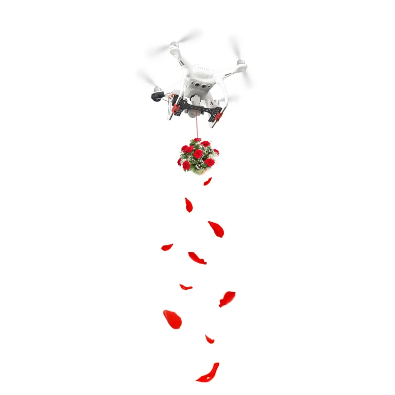 

Shinkichon Pelter, рыболовная приманка, свадебная, ремонтная, для DJI Phantom 4 Pro/4 Advanced/4 Pro V2.0, доставка, упаковка