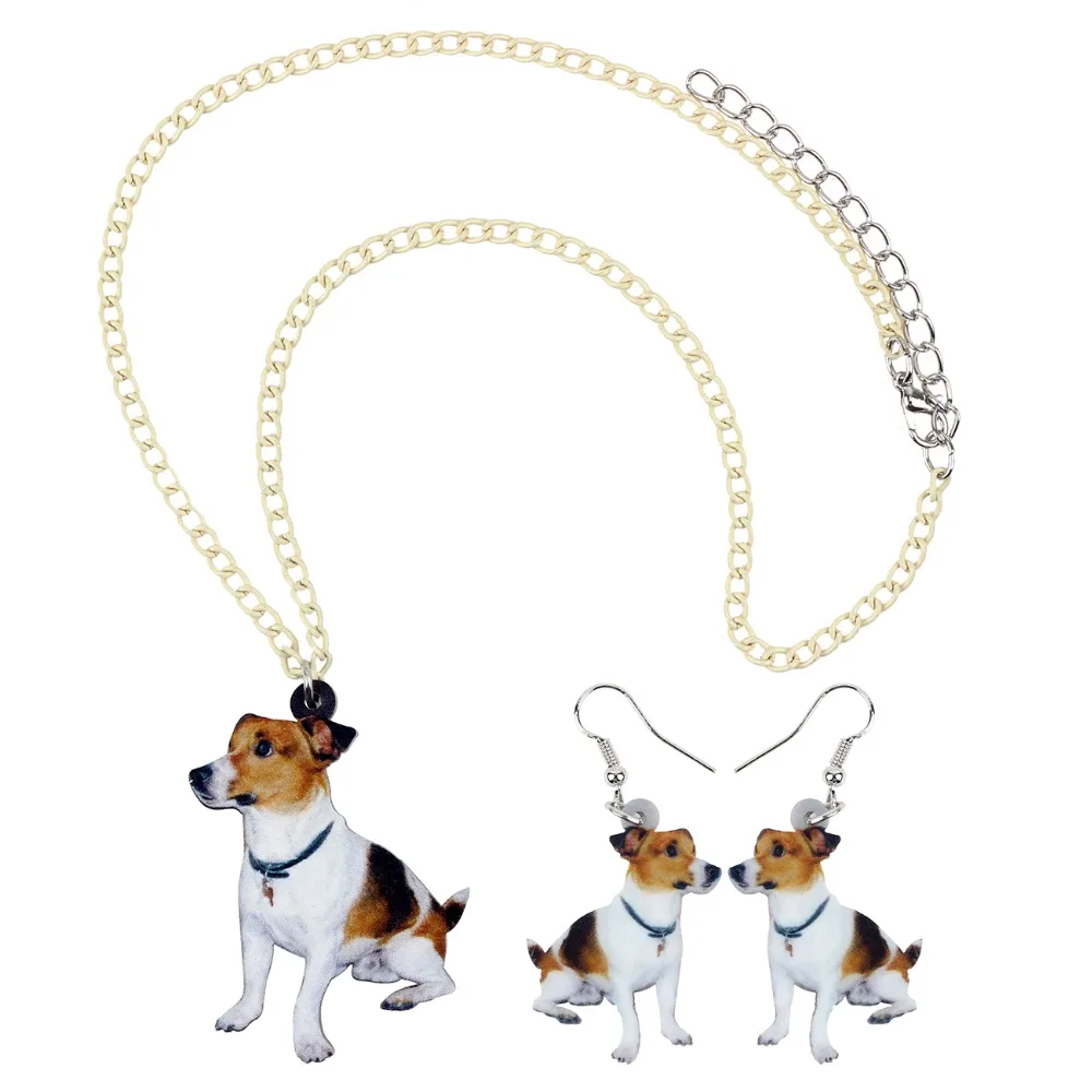 Акриловые Ювелирные наборы Bonsny ожерелье и серьги с милым Джеком расселлом модная