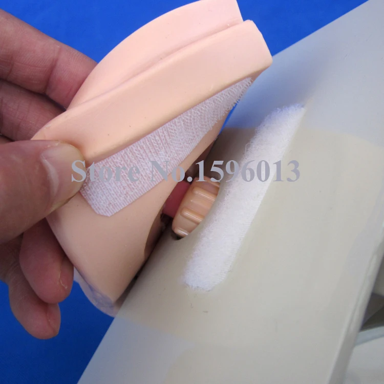 Лидер продаж мужской Катетеризация тренажер мочевого пузыря модель ухода |