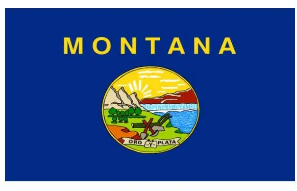 

Montana State Flag 3x5 ft Brand NEW MT USA Banner