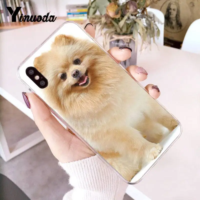 5 Yinuoda Pomeranian dogs Красочный милый чехол для телефона для iPhone 8 7 6 6S Plus X 10 5 5S SE XR XS XSMAX11 11pro 11promax - Цвет: 5