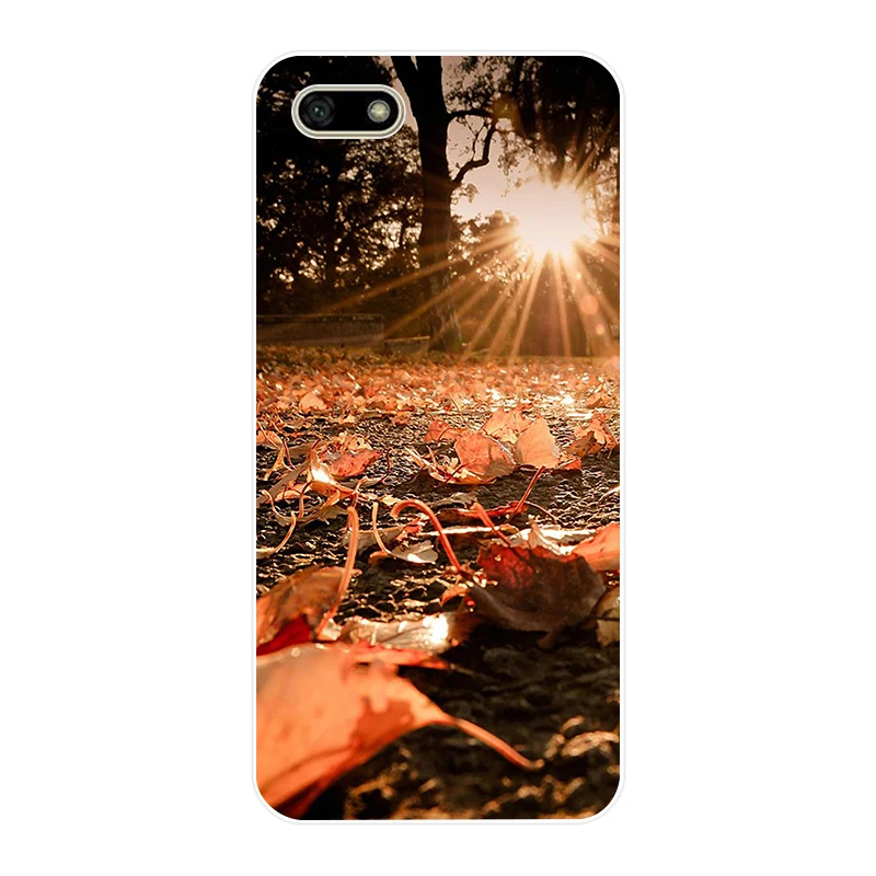 Силиконовый чехол для 5,45 дюймов Huawei Y5 PRIME, мягкий чехол на заднюю панель, чехол для телефона Huawei Y5, чехол, бампер, сумки - Цвет: 32